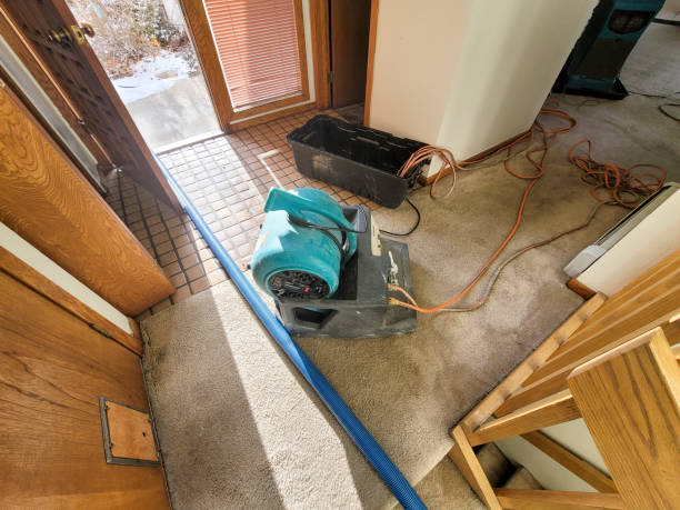 Best Water damage restoration near me  in Oak Hills Pce, LA