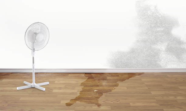 Water damage restoration experts in Oak Hills Place, LA