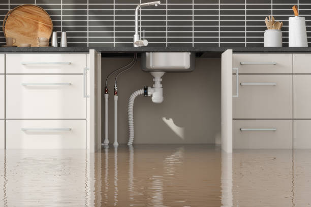 Best Flooded house restoration  in Oak Hills Pce, LA
